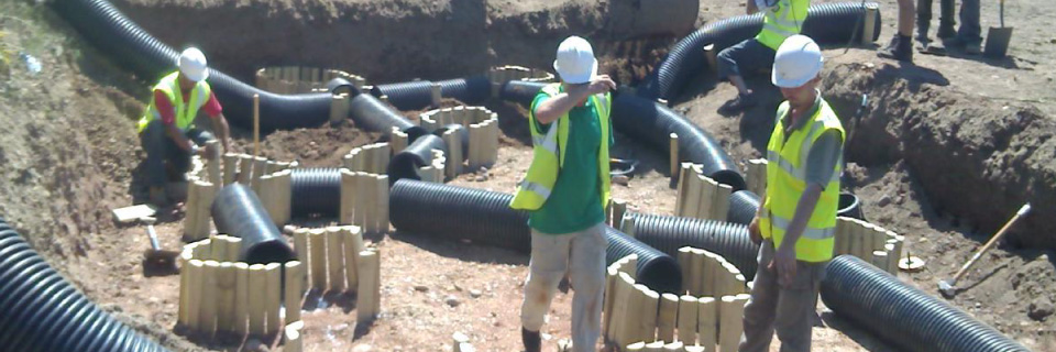 About Evolution Ecology