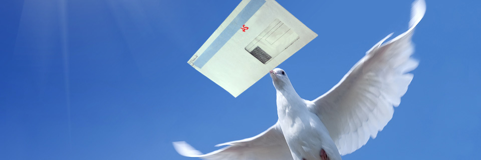 About Evolution Ecology