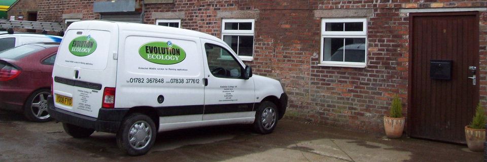 About Evolution Ecology