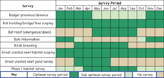 Optimal Timing Calendar